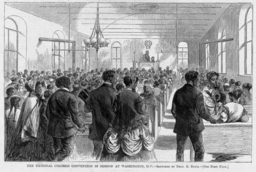 The National Colored Convention in Session at Washington, D.C.