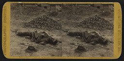 A Rebel Soldier, killed in the Trenches before Petersburgh.[sic]