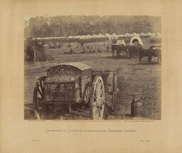 Inspection of Troops at Cumberlanding [sic], Pamunkey, Virginia.