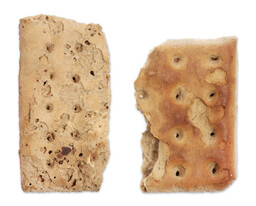 Hardtack