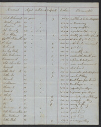 List of Negro Men & Boys, also their ages & value p. 3