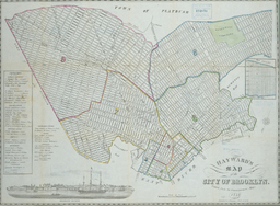 Hayward's Map of the City of Brooklyn.