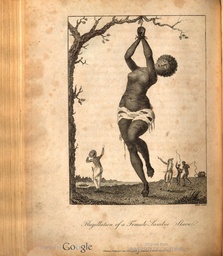 Flagellation of a Female Samboe Slave.