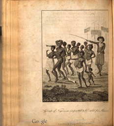 Group of Negros, as imported to be sold for Slaves.