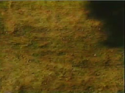 3. Archaeology in Action: First People: The Early Indians