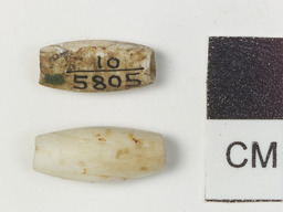 These small white roanoke beads, carved from shell, were unearthed by archaeologist Frank G. Speck between 1918 and 1921 on Pamunkey land in King William County.