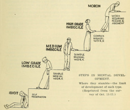 This illustration appeared in the 1915 report <i>Mental Defectives in Virginia</i>, issued by the State Board of Charities and Corrections. The image depicts five different levels of the “feeble-minded,” next to steps indicating what work they are capable of completing. An “Idiot” is at the bottom of the steps, with the following categories ascending step by step, “Low Grade Imbecile,” “Medium Imbecile,” “High Grade Imbecile,” and “Moron” at the top. 