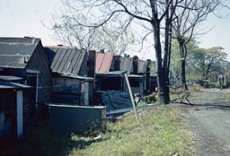 This photograph of a street in Roanoke was taken by the Roanoke Redevelopment and Housing Authority in 1966. The neighborhood was under consideration for urban renewal. Much of what city planners and property developers described as “slums” or “blighted” neighborhoods, were places occupied by Black families with long histories and strong community attachments to the area. People who were forced to leave their homes often felt betrayed when their neighborhoods were not improved, but simply destroyed.  