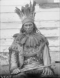 <p>Civil War veteran William Terrill Bradby poses for a photograph at the Chicago World’s Fair in 1893. After fighting for the Union and serving as the Chief of the Pamunkey Tribe, Bradby took part in tribal efforts to uphold the legal status of Virginia Indians. </p> 