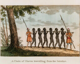 A Chain of Slaves travelling from the Interior.